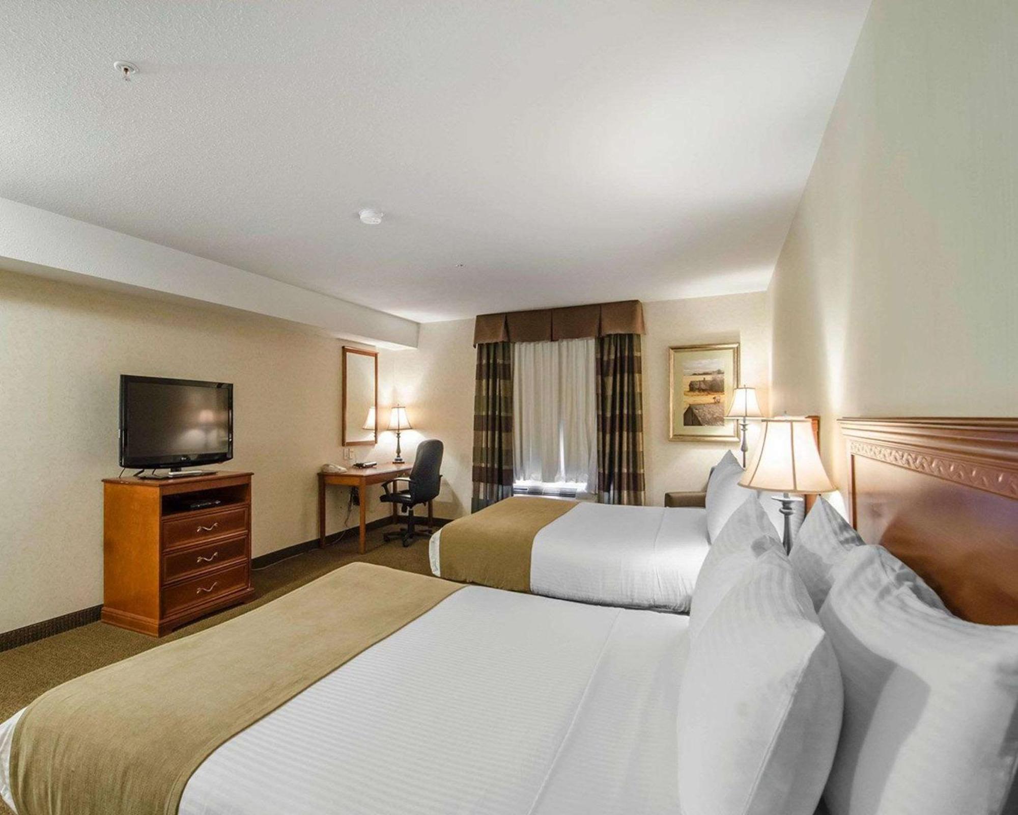 Quality & Hotel